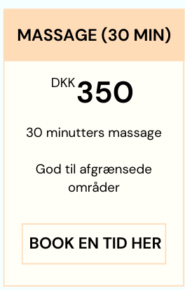 Pris for 30 minutters massage i Smertefys