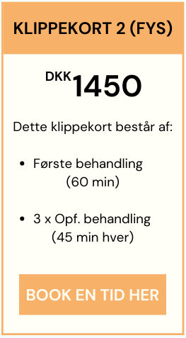 Priser på klippekort hos Smertefys