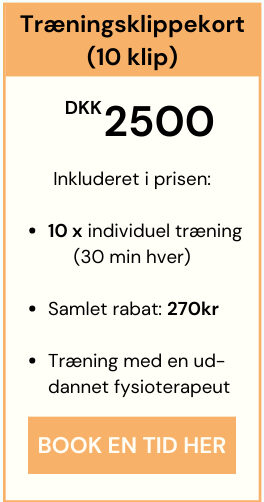 priser på individuel fysioterapi hos Smertefys