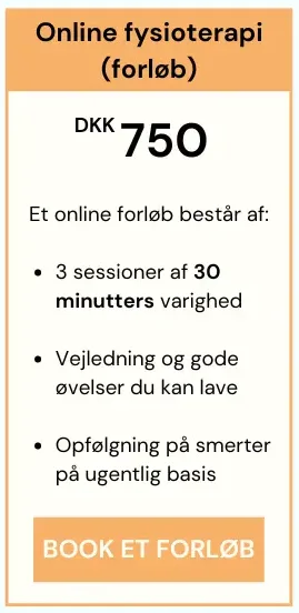 priser på online fysioterapi