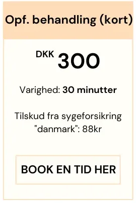 Fysioterapi med henvisning