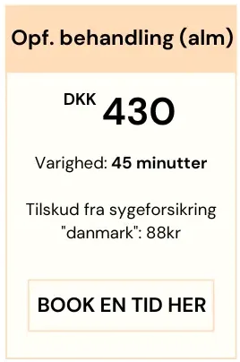 Fysioterapi uden henvisning
