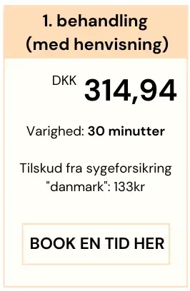 Priser på fysioterapi med henvisning pr. 1.10.25 hos Smertefys Priser på fysioterapi med henvisning pr. 1.10.25 hos Smertefys