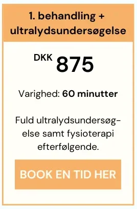 Priser på 1. behandling hos Smertefys