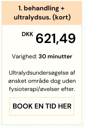 Priser på 1. behandlinger hos Smertefys