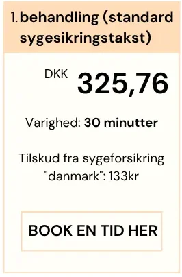 Fysioterapi med henvisning (2) (1) Fysioterapi med henvisning (2) (1)