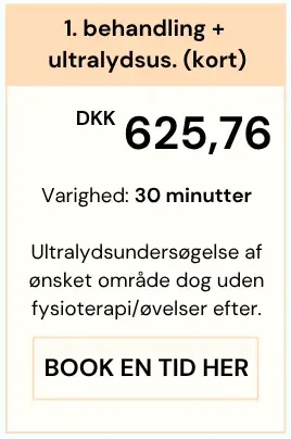 Fysioterapi uden henvisning (1) Fysioterapi uden henvisning (1)
